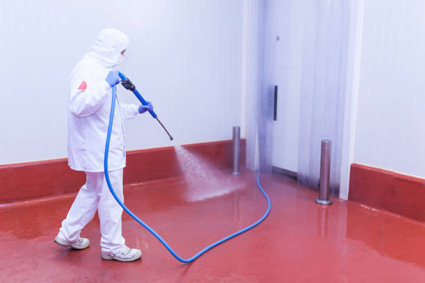 Best Spring Cleaning  in Gantt, SC
